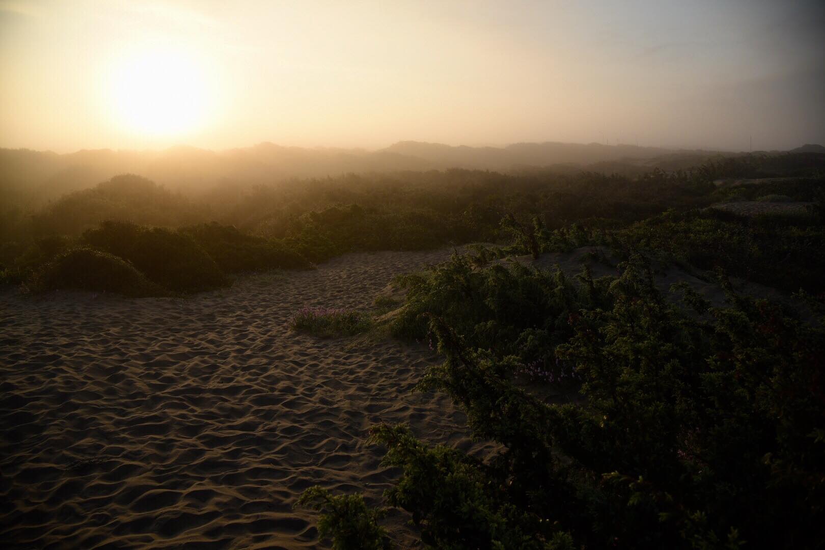 La storia delle dune di Capocotta